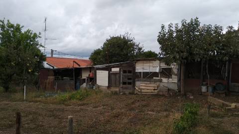Terreno Urbano  Venda em Cebolais de Cima e Retaxo,Castelo Branco