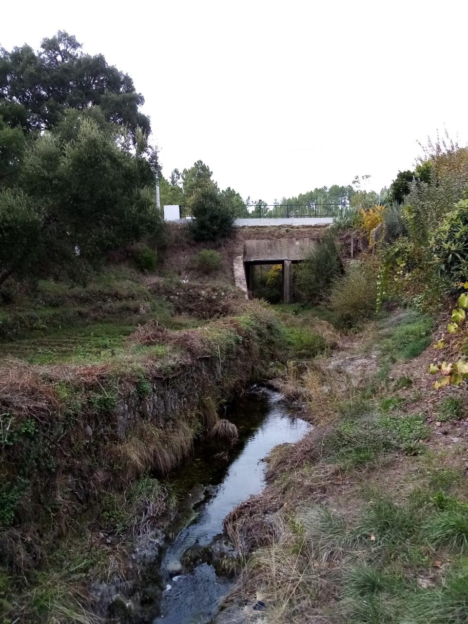 Terreno Rústico  Venda em Almaceda,Castelo Branco