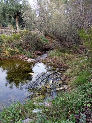 Terreno Rústico  Venda em Almaceda,Castelo Branco