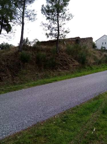 Terreno Rústico  Venda em Almaceda,Castelo Branco