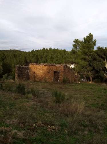 Terreno Rústico  Venda em Almaceda,Castelo Branco