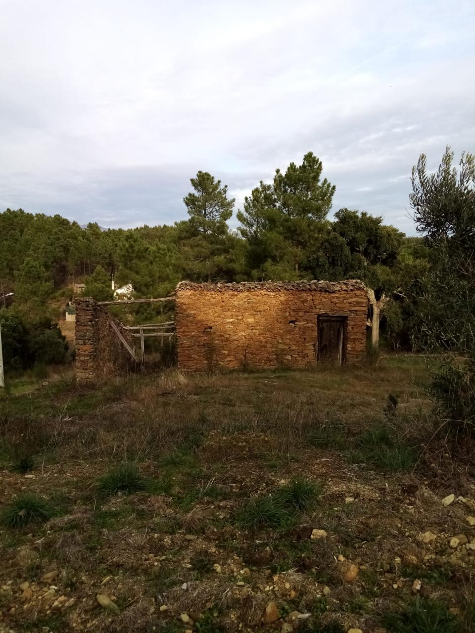 Terreno Rústico  Venda em Almaceda,Castelo Branco