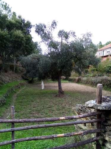 Terreno Rústico  Venda em Almaceda,Castelo Branco