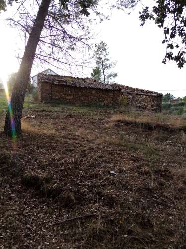 Terreno Rústico  Venda em Almaceda,Castelo Branco