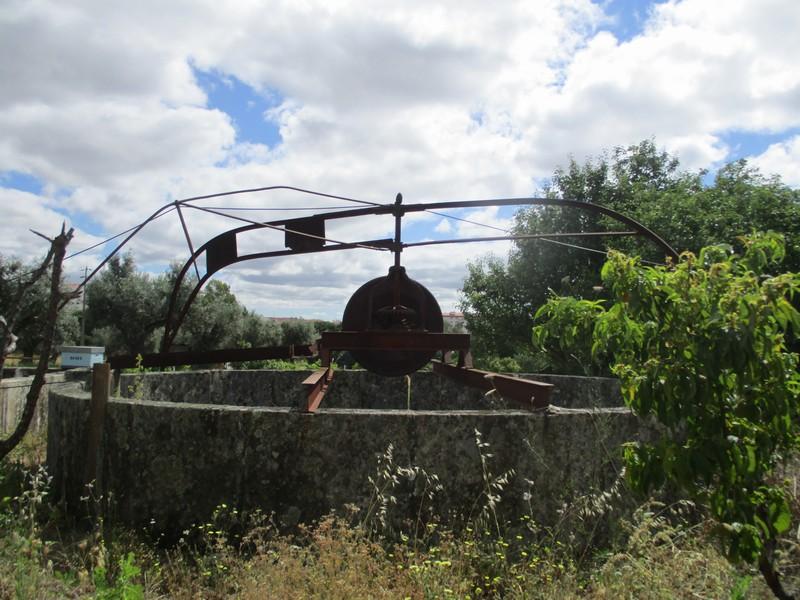 Quinta  Venda em Castelo Branco,Castelo Branco