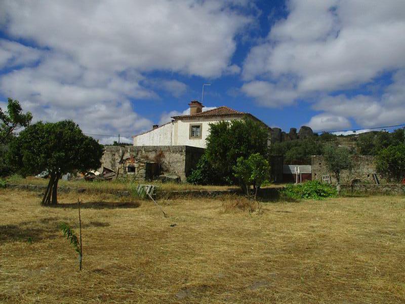 Quinta  Venda em Castelo Branco,Castelo Branco