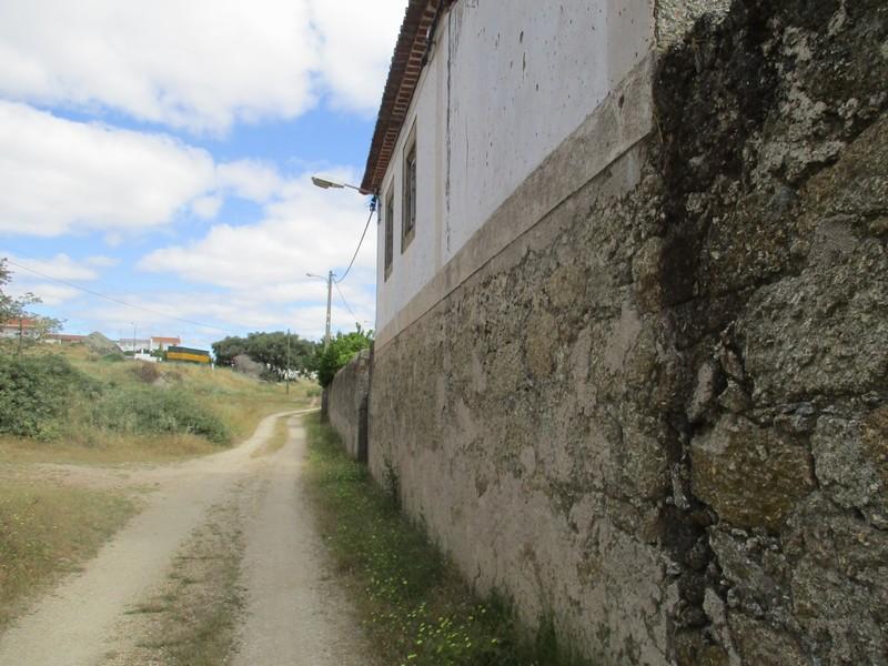 Quinta  Venda em Castelo Branco,Castelo Branco