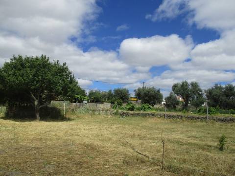 Quinta  Venda em Castelo Branco,Castelo Branco