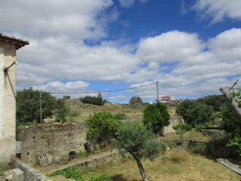 Quinta  Venda em Castelo Branco,Castelo Branco