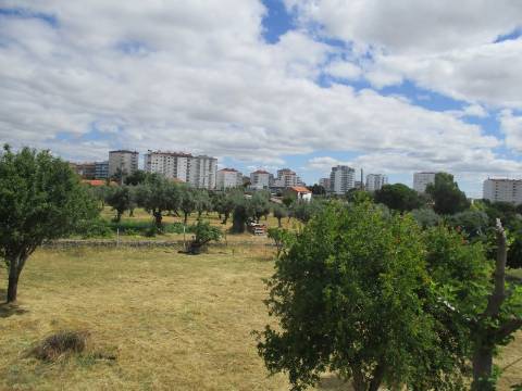 Quinta  Venda em Castelo Branco,Castelo Branco