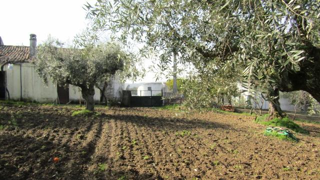 Moradia T4 Venda em Benquerenças,Castelo Branco