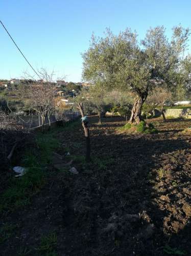 Moradia T4 Venda em Benquerenças,Castelo Branco