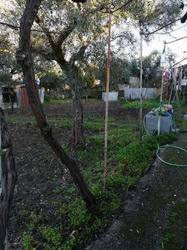 Moradia T4 Venda em Benquerenças,Castelo Branco