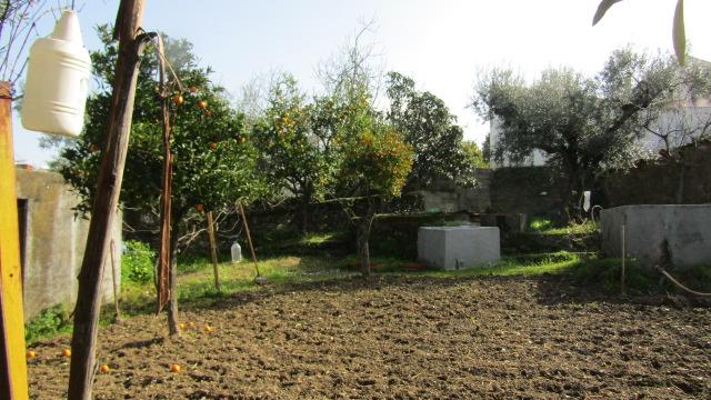 Moradia T4 Venda em Benquerenças,Castelo Branco