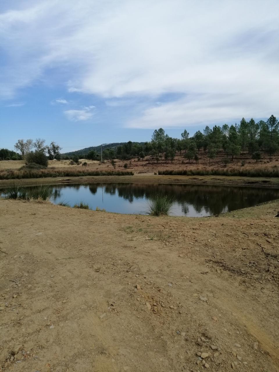 Herdade  Venda em Penamacor,Penamacor