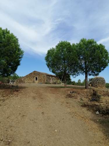 Herdade  Venda em Penamacor,Penamacor