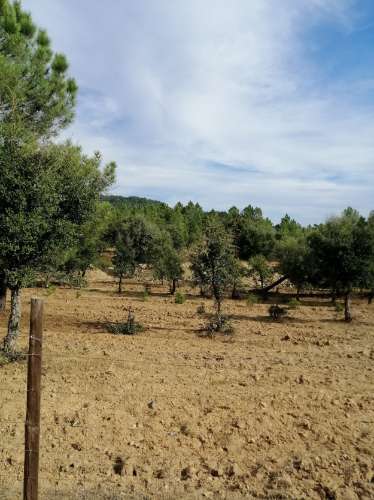 Herdade  Venda em Penamacor,Penamacor
