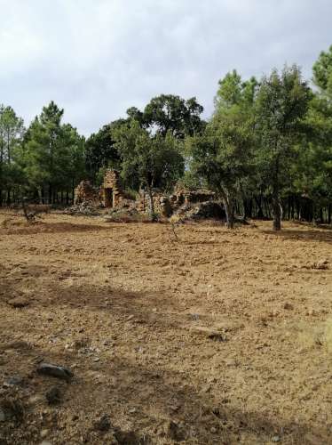 Herdade  Venda em Penamacor,Penamacor