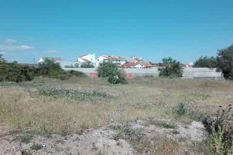 Lote de Terreno  Venda em Alcains,Castelo Branco