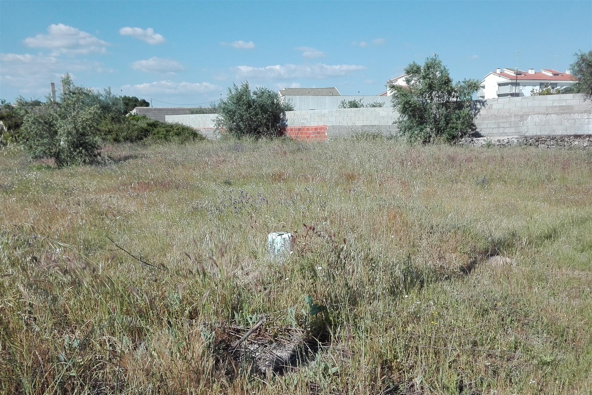 Lote de Terreno  Venda em Alcains,Castelo Branco