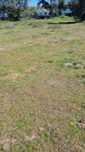 Lote de Terreno  Venda em Alcains,Castelo Branco