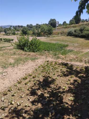 Moradia T7 Venda em Fundão, Valverde, Donas, Aldeia de Joanes e Aldeia Nova do Cabo,Fundão