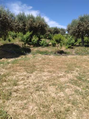 Moradia T7 Venda em Fundão, Valverde, Donas, Aldeia de Joanes e Aldeia Nova do Cabo,Fundão