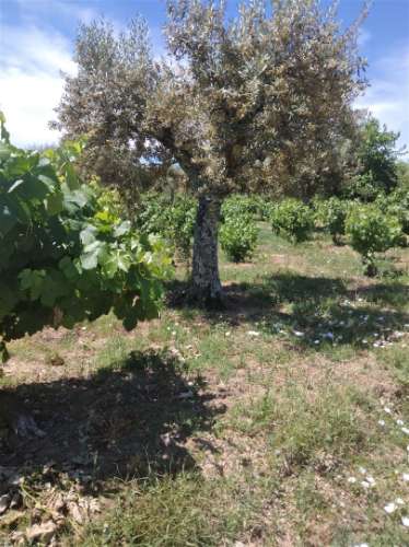 Moradia T7 Venda em Fundão, Valverde, Donas, Aldeia de Joanes e Aldeia Nova do Cabo,Fundão