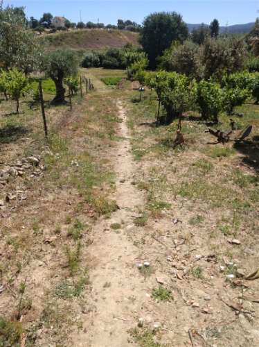 Moradia T7 Venda em Fundão, Valverde, Donas, Aldeia de Joanes e Aldeia Nova do Cabo,Fundão