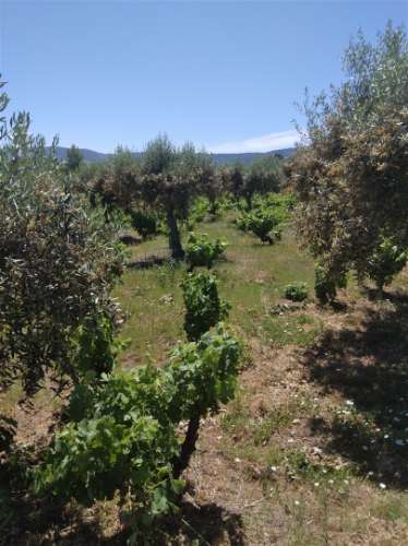 Moradia T7 Venda em Fundão, Valverde, Donas, Aldeia de Joanes e Aldeia Nova do Cabo,Fundão