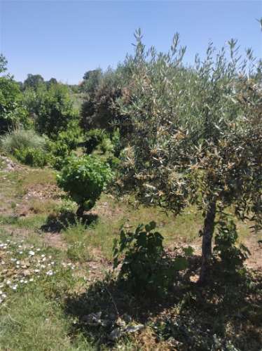 Moradia T7 Venda em Fundão, Valverde, Donas, Aldeia de Joanes e Aldeia Nova do Cabo,Fundão