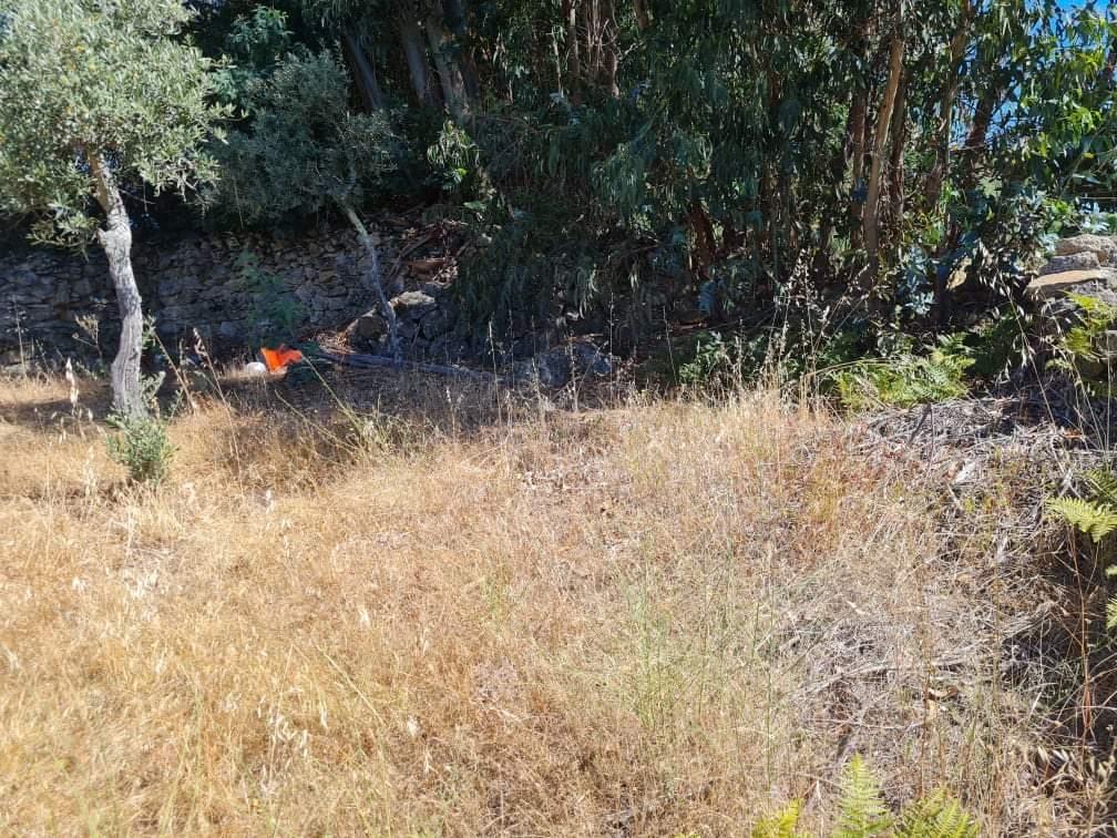 Terreno  Venda em Póvoa de Rio de Moinhos e Cafede,Castelo Branco