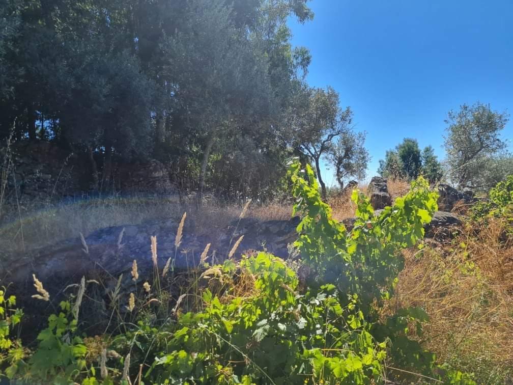 Terreno  Venda em Póvoa de Rio de Moinhos e Cafede,Castelo Branco