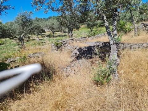 Terreno  Venda em Póvoa de Rio de Moinhos e Cafede,Castelo Branco