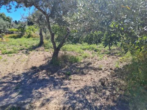 Terreno  Venda em Póvoa de Rio de Moinhos e Cafede,Castelo Branco