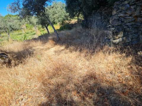 Terreno  Venda em Póvoa de Rio de Moinhos e Cafede,Castelo Branco