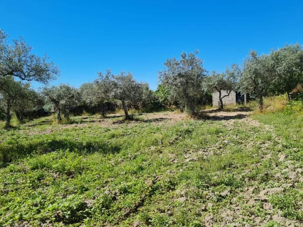 Terreno  Venda em Póvoa de Rio de Moinhos e Cafede,Castelo Branco