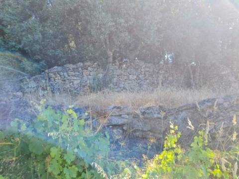 Terreno  Venda em Póvoa de Rio de Moinhos e Cafede,Castelo Branco