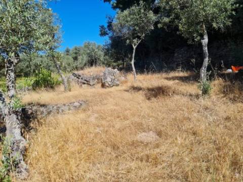 Terreno  Venda em Póvoa de Rio de Moinhos e Cafede,Castelo Branco