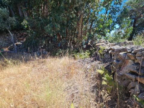 Terreno  Venda em Póvoa de Rio de Moinhos e Cafede,Castelo Branco
