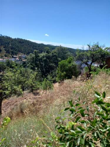 Moradia T1 Venda em Almaceda,Castelo Branco