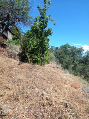 Moradia T1 Venda em Almaceda,Castelo Branco