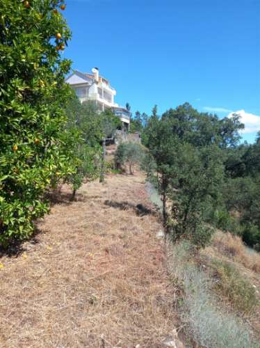 Moradia T1 Venda em Almaceda,Castelo Branco