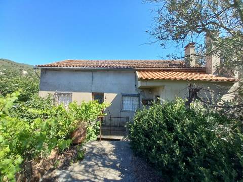 Moradia T3 Venda em Almaceda,Castelo Branco