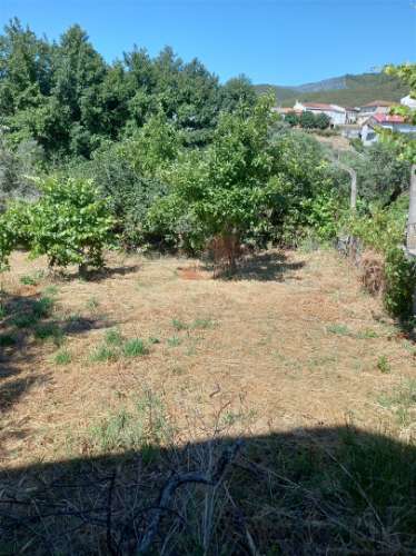 Moradia T3 Venda em Almaceda,Castelo Branco