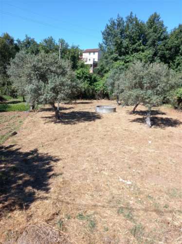 Moradia T3 Venda em Almaceda,Castelo Branco