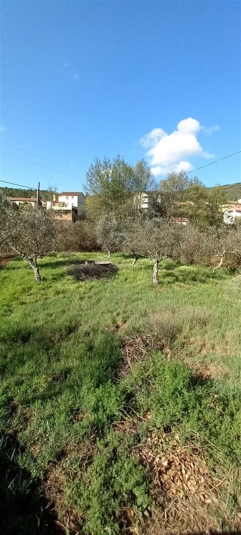 Moradia T3 Venda em Almaceda,Castelo Branco