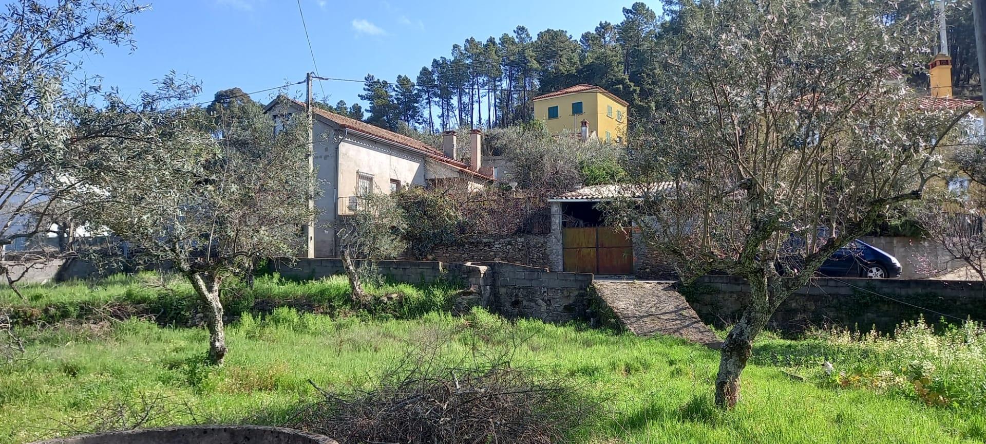 Moradia T3 Venda em Almaceda,Castelo Branco