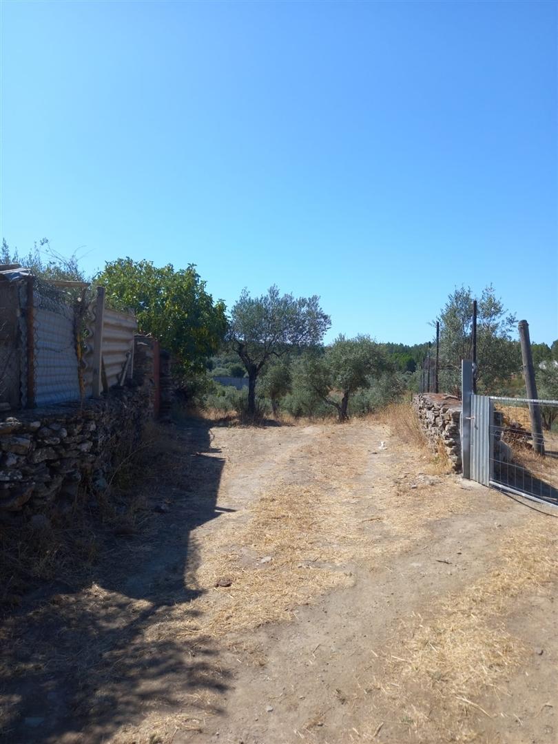 Terreno Rústico  Venda em Freixial e Juncal do Campo,Castelo Branco