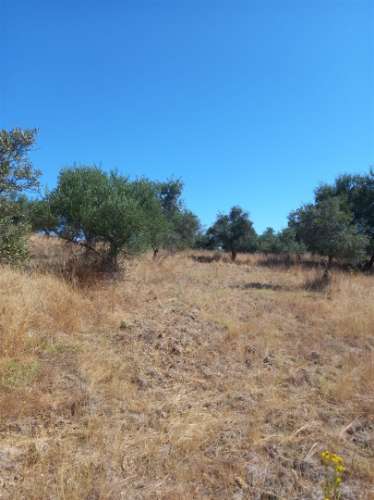 Terreno Rústico  Venda em Freixial e Juncal do Campo,Castelo Branco